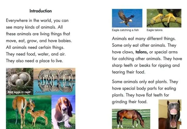 什么是大名鼎鼎的LearningA-Z?全球最详细的中文版图文视频介绍