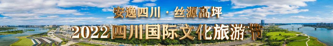 南充网约车被抓,伪造核酸证明被拘11日