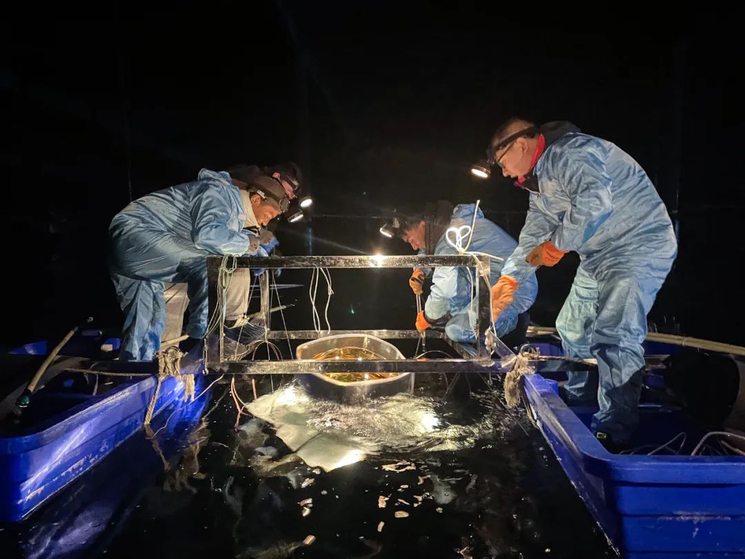 占地45亩的标准足球场馆,116公顷几个足球场