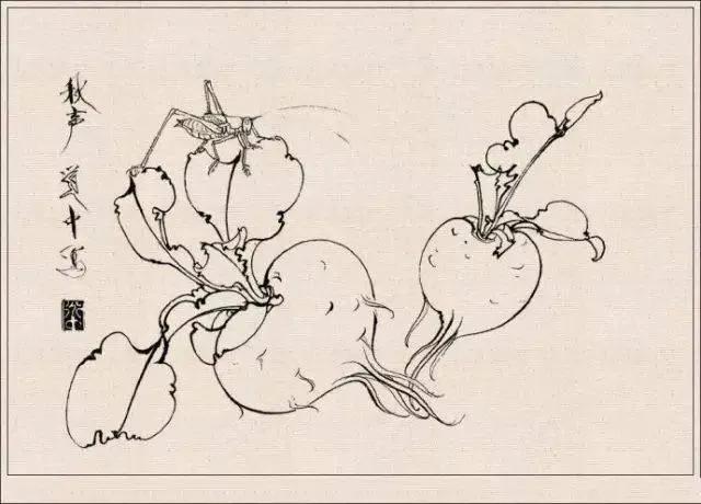 工笔草虫白描王道中,写意花鸟画草虫绘画过程分享