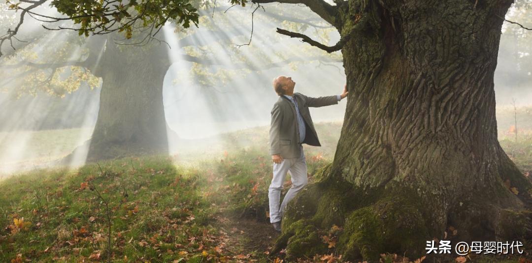 德国喜宝米粉怎么样,米粉品牌hipp喜宝多少钱一盒