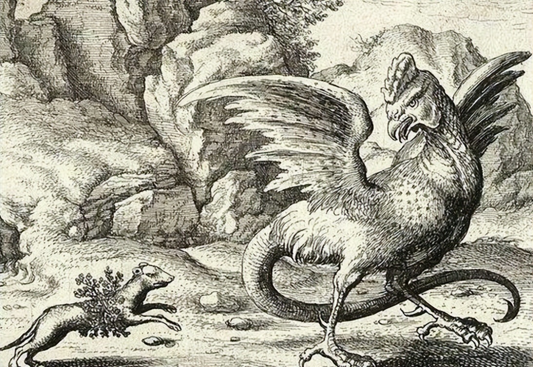 虎斑游蛇鸡冠蛇毒性大吗,十堰最近发现的鸡冠蛇