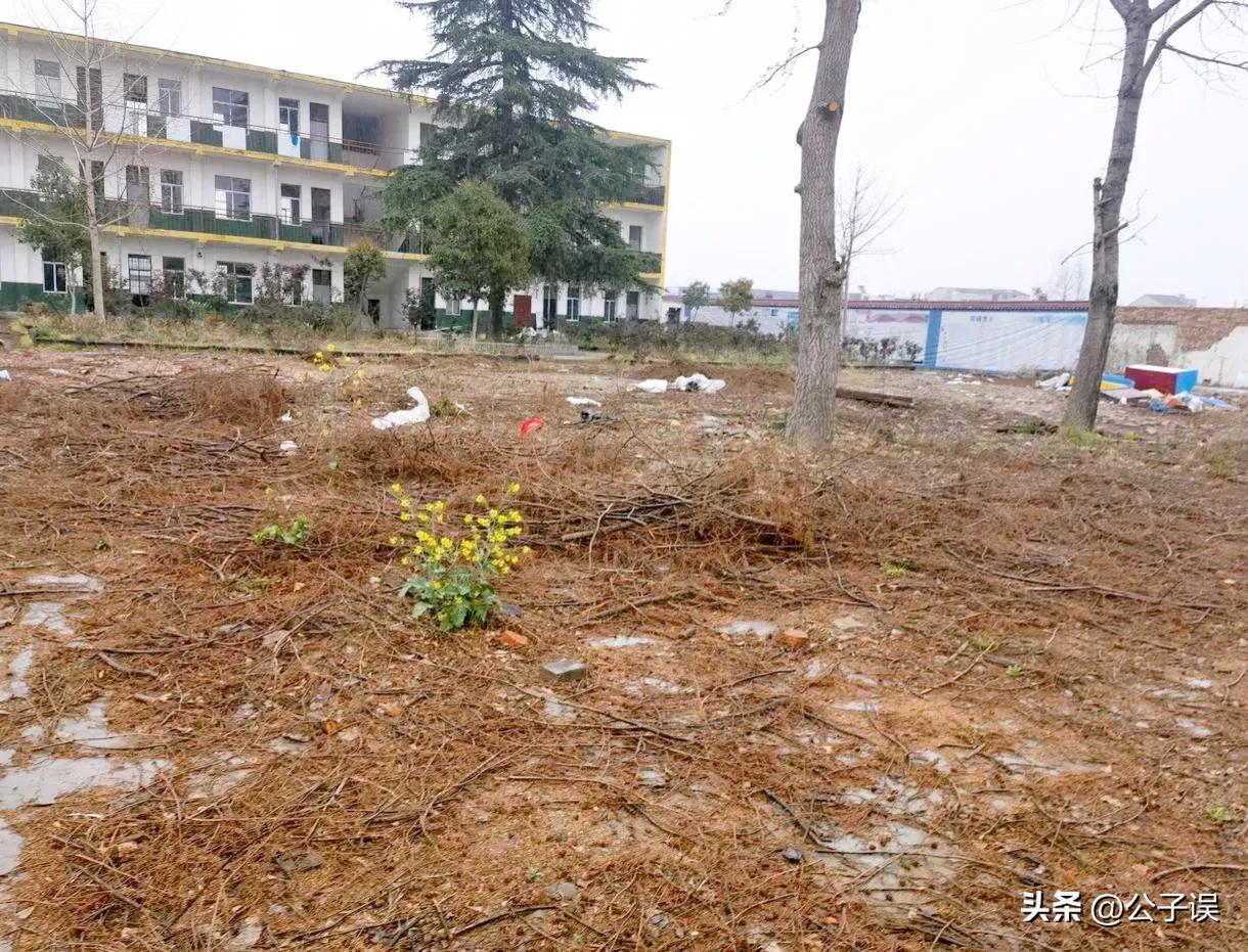 刘爱业性侵残障学生获刑最新,刘爱业性侵残障学生获刑