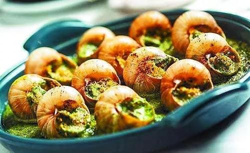 都是蜗牛，法国蜗牛与非洲蜗牛有啥不同？原来相差这么大，涨知识