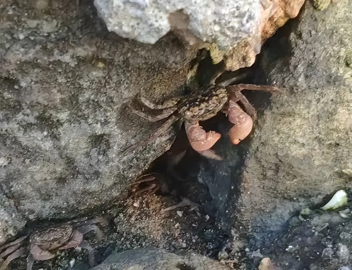 北海涠洲岛避坑全攻略,北海涠洲岛旅游风景几月去最好