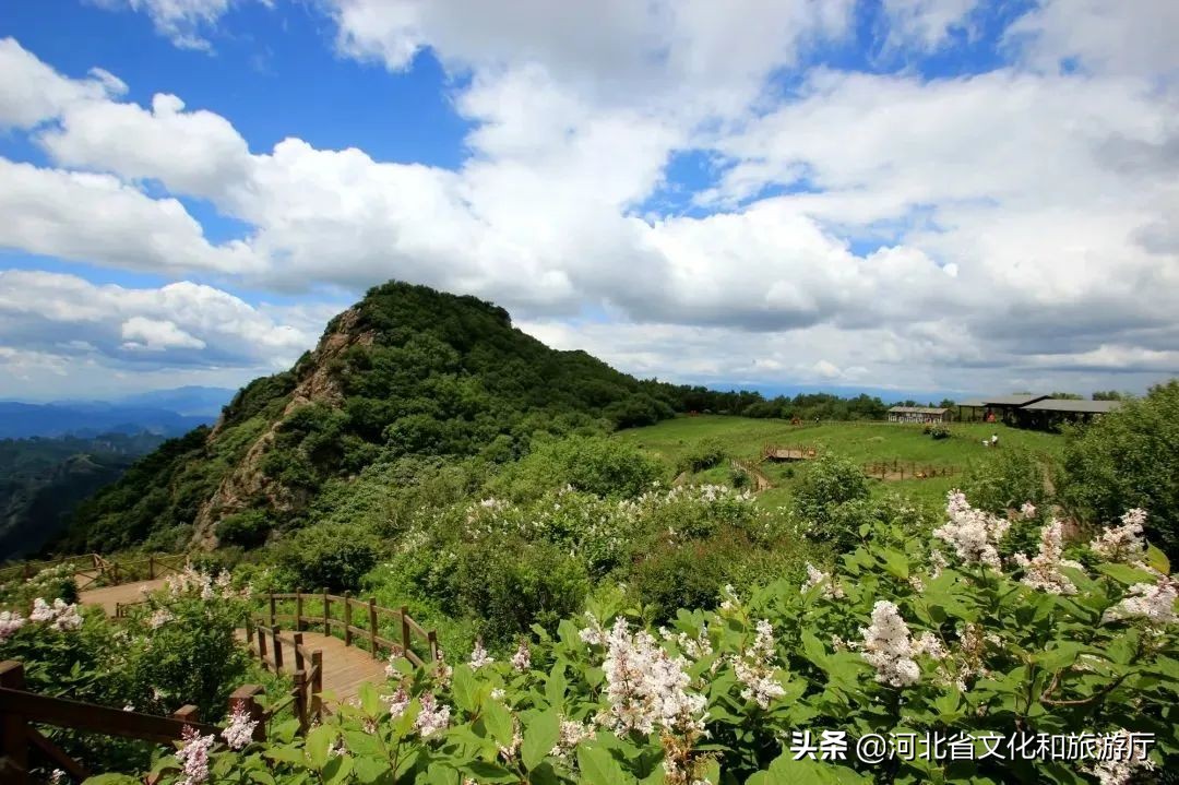 爱丽丝梦游仙境景区,爱丽丝梦游仙境青岛实景