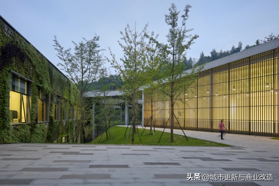 桃源居平面图,重庆桃源居全景图