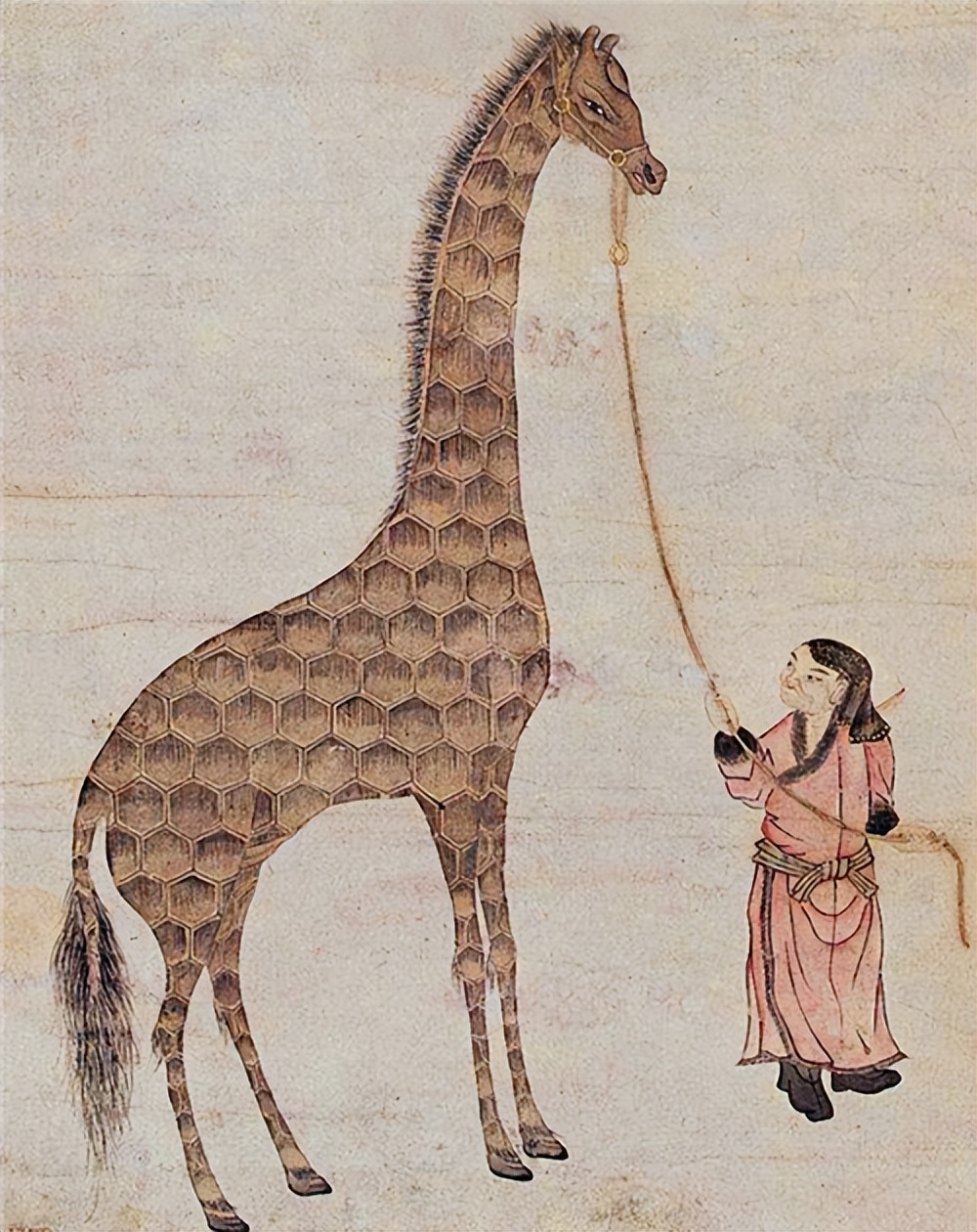 郑和带回一只西方神兽麒麟,郑和几次下西洋曾带回了瑞兽麒麟