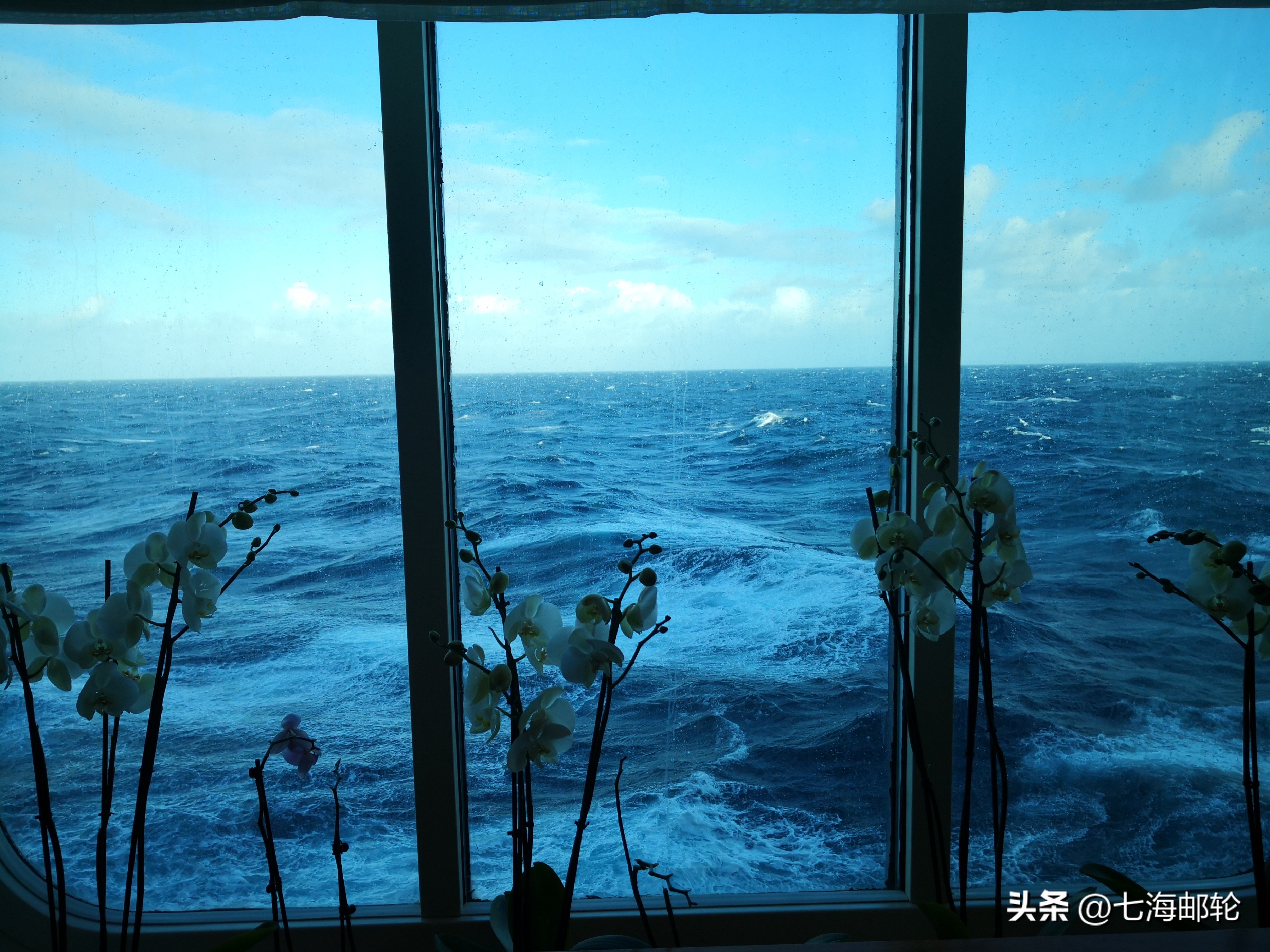 邮轮游客下船流程注意事项,湾区一号邮轮注意事项