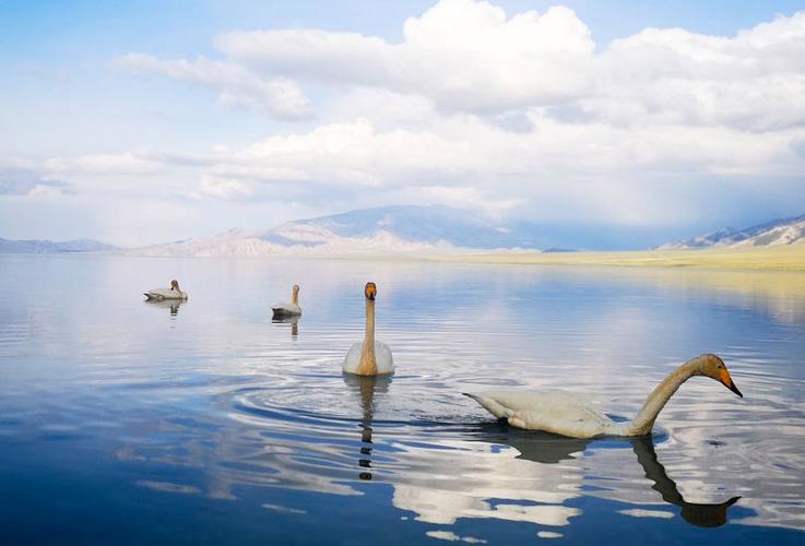 去敦煌3天,去敦煌一天怎么玩