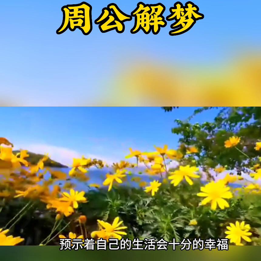 一晚上梦了好几个梦周公解梦,周公解梦梦到两重梦境