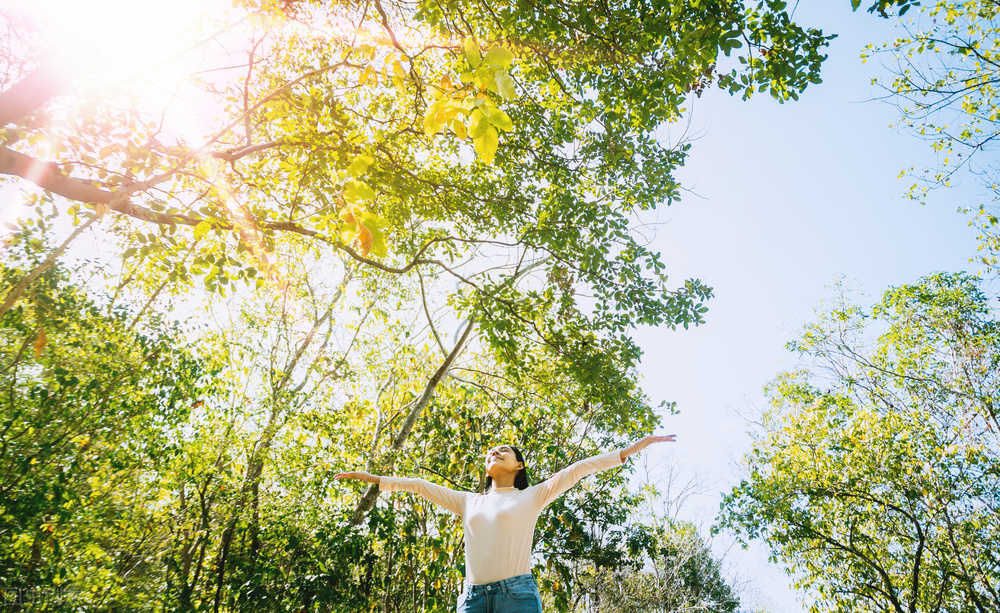 空气净化器贵和普通价格区别在哪,彩虹空气净化器为什么那么贵