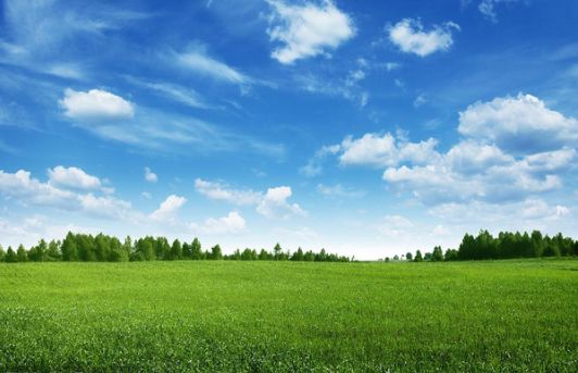 证件照大小一般多大,证件照大小一般是多少