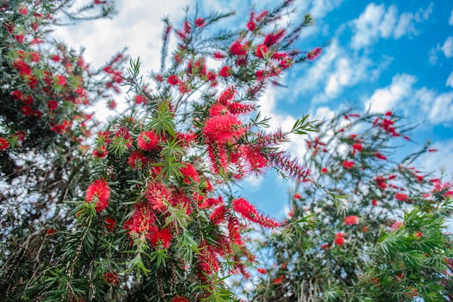 写春回大地的诗,指春回大地的诗句