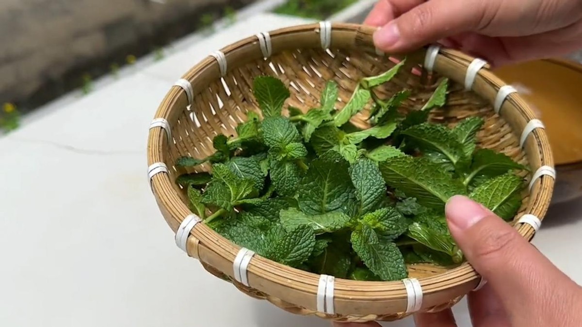 教你一招消灭家里所有的蚊子,对付蚊子的30个妙招