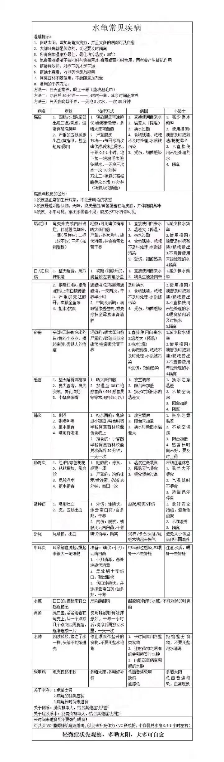 宠物水龟有哪些,宠物水龟冬眠处理方法