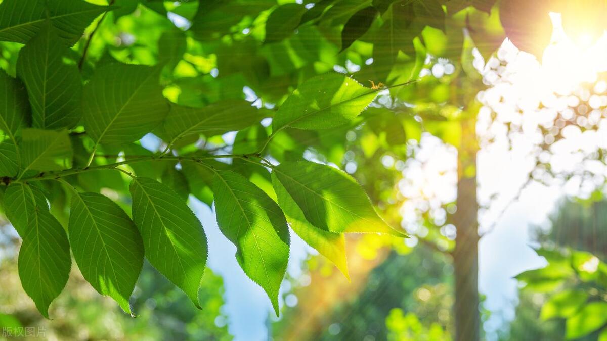 春天晒背养阳,晒背养阳有什么好处