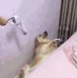 皮肤可以用的洗衣消毒液,洗衣液用的太多会导致皮痒吗