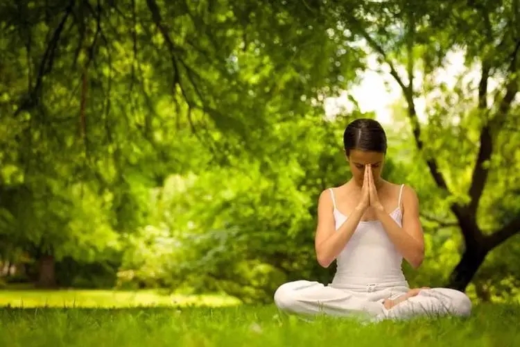 经典禅诗100首合集,禅诗100首精选