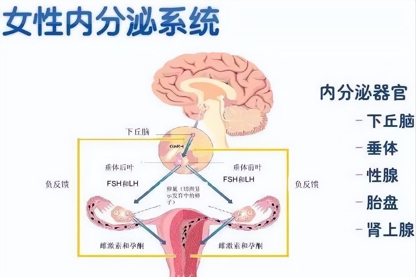女生闻到男生身上的香味代表什么,女生闻到男生身上的香味很刺鼻
