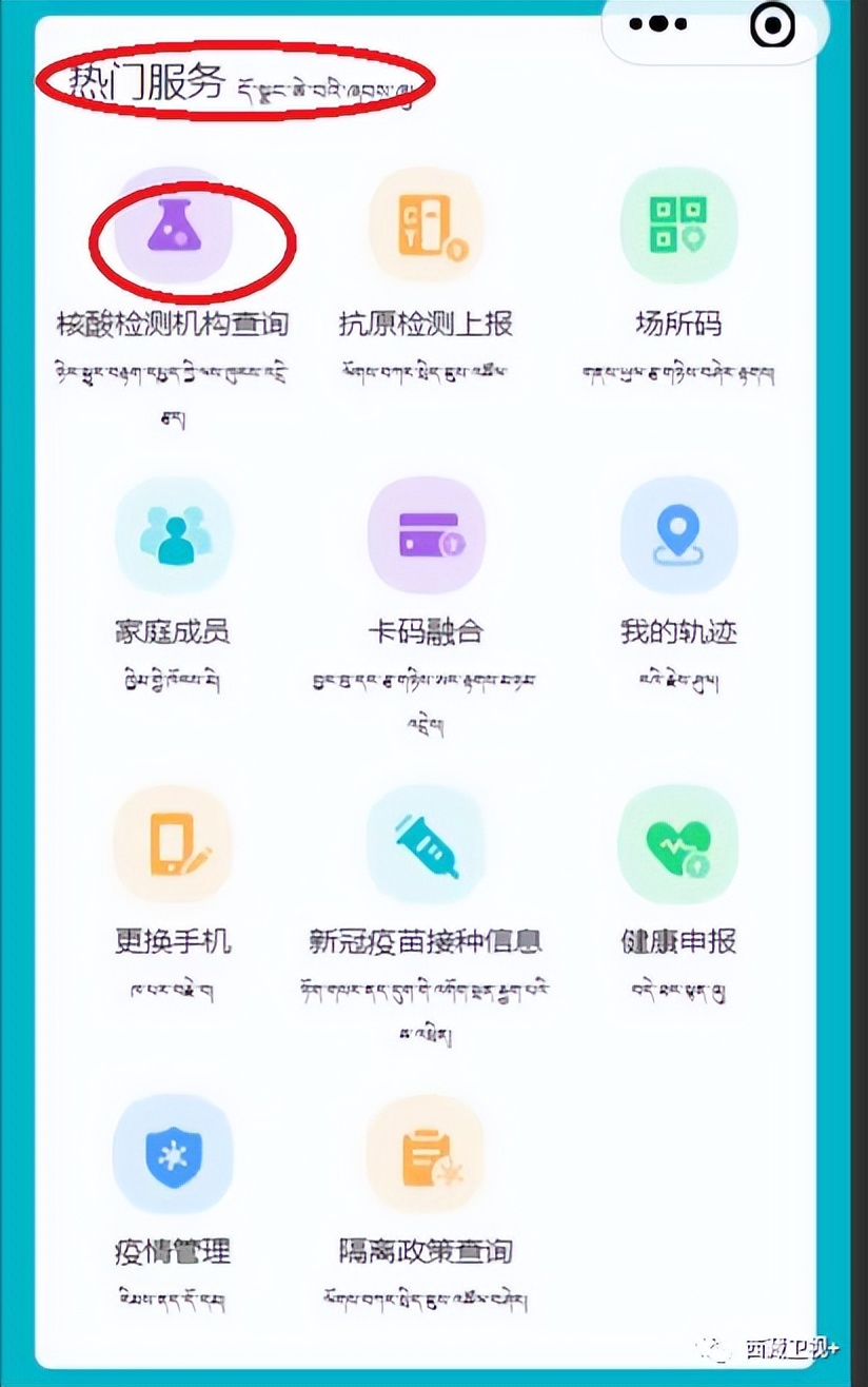 核酸检测收藏,如何收藏核酸检测报告