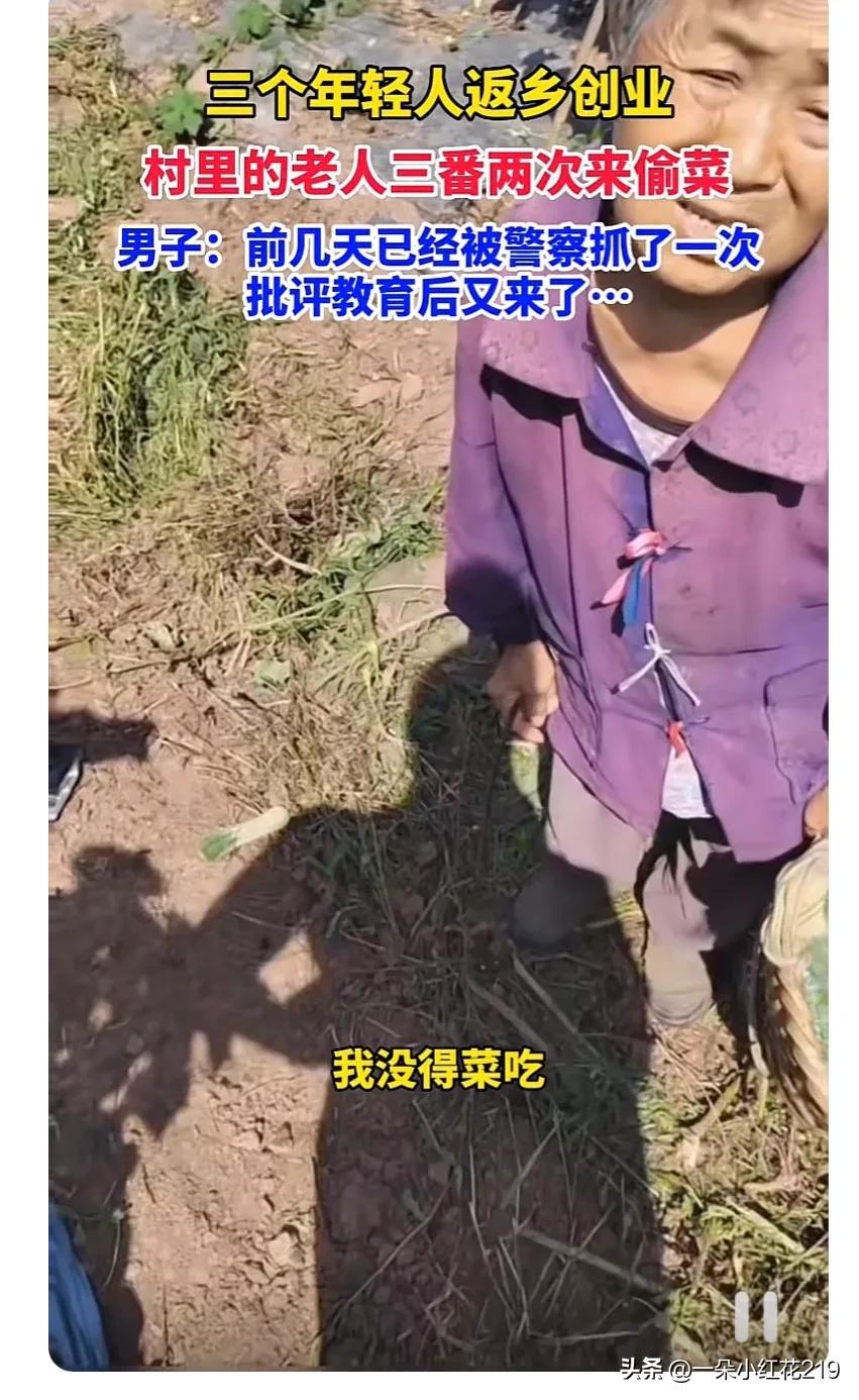 你说咋处理？三名青年返乡创业，贫穷老人几次三番背着背篼来偷