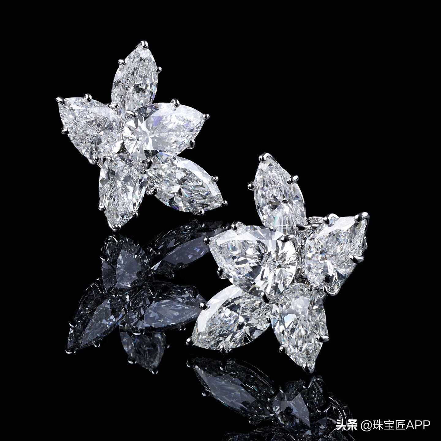 harrywinston閽荤煶5.20鍏嬫媺浠锋牸,harrywinston閽荤煶3鍏嬫媺浠锋牸