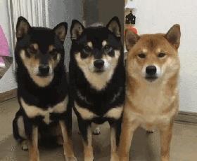 突然冒出一片气泡,突然冒了小小的水泡泡