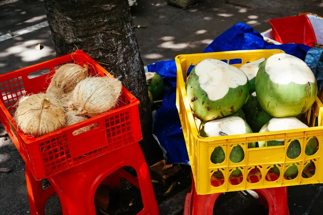 早餐烤乳猪，海鲜论盆卖？这座海岛小城舒坦得有点离谱了