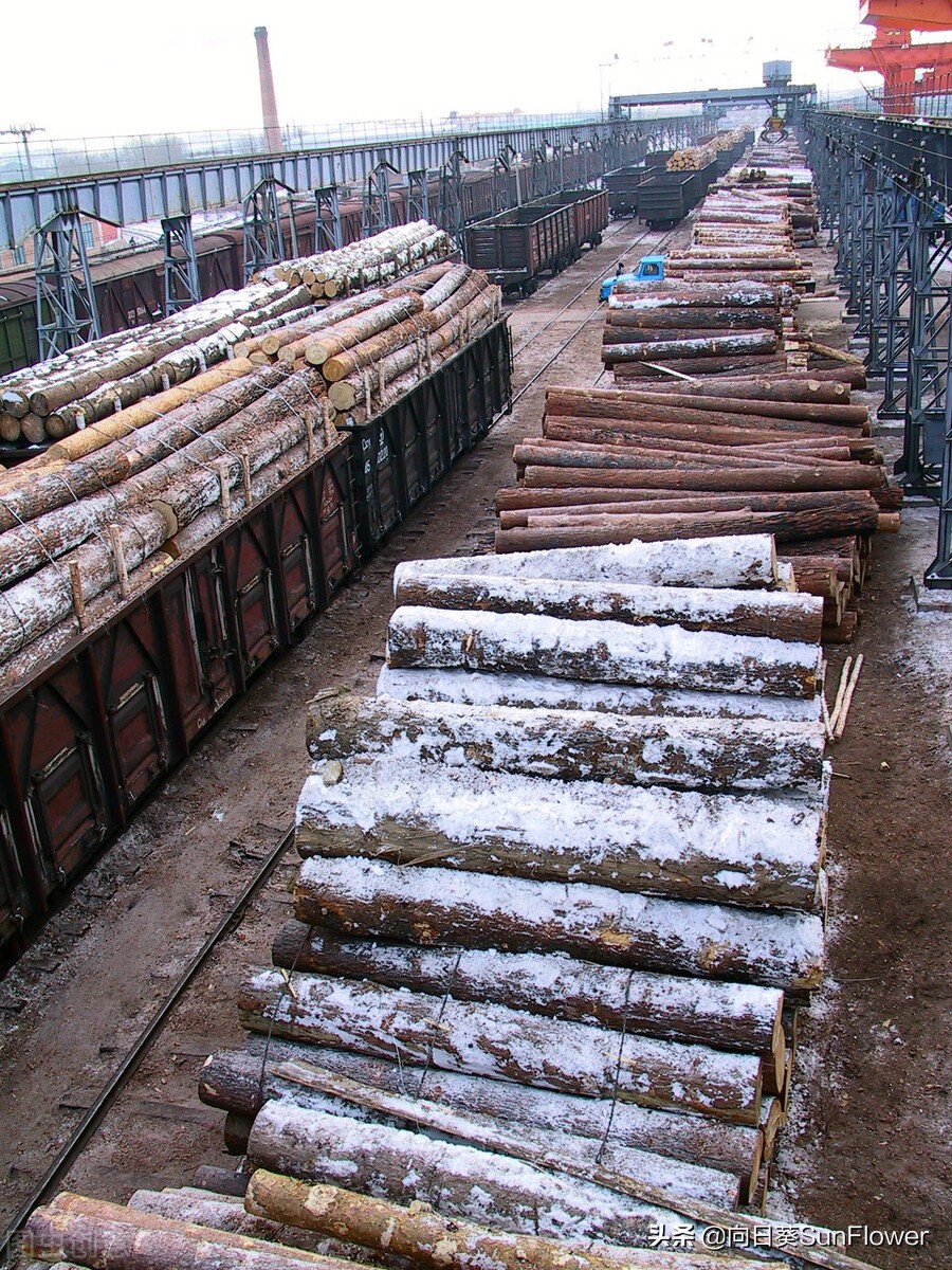 俄国风情：江苏小伙刘万年，向心爱的俄罗斯姑娘求婚，好事将至