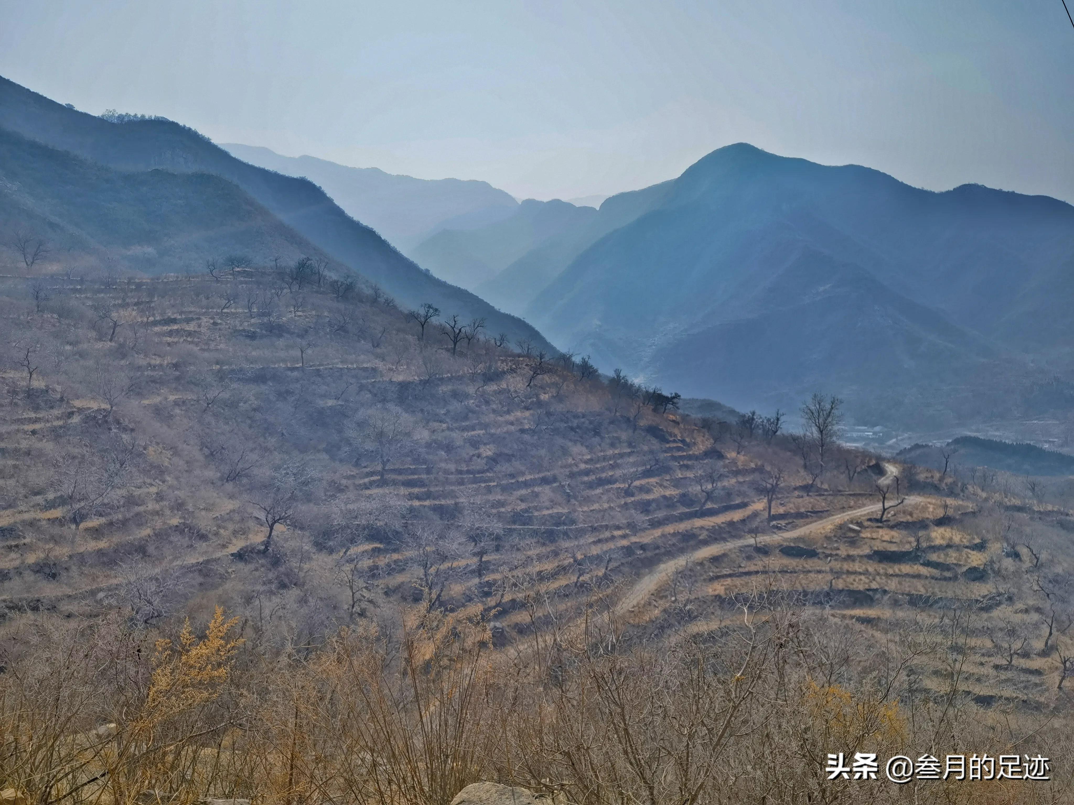 北京房山现在蒲洼梯田赏花,房山大安山梯田观景台