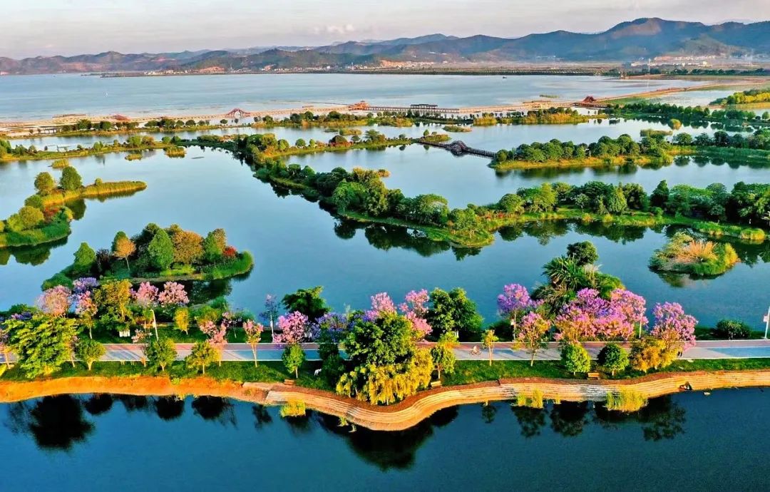 推动红河高质量跨越发展,奋力推动红河高质量跨越式发展