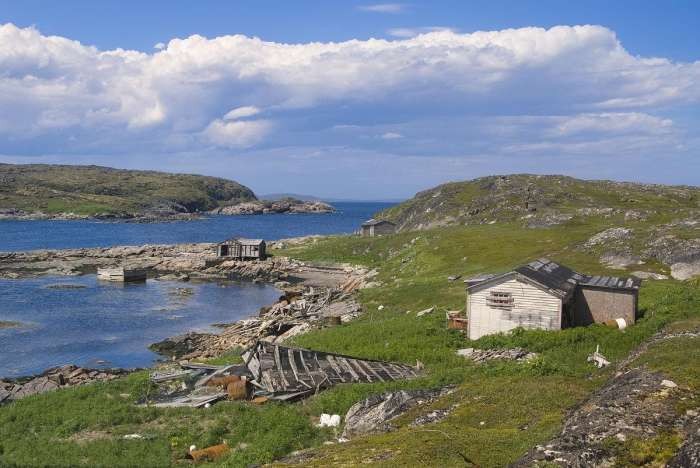 世界第一渔港,世界第一渔港为什么没有捕鱼