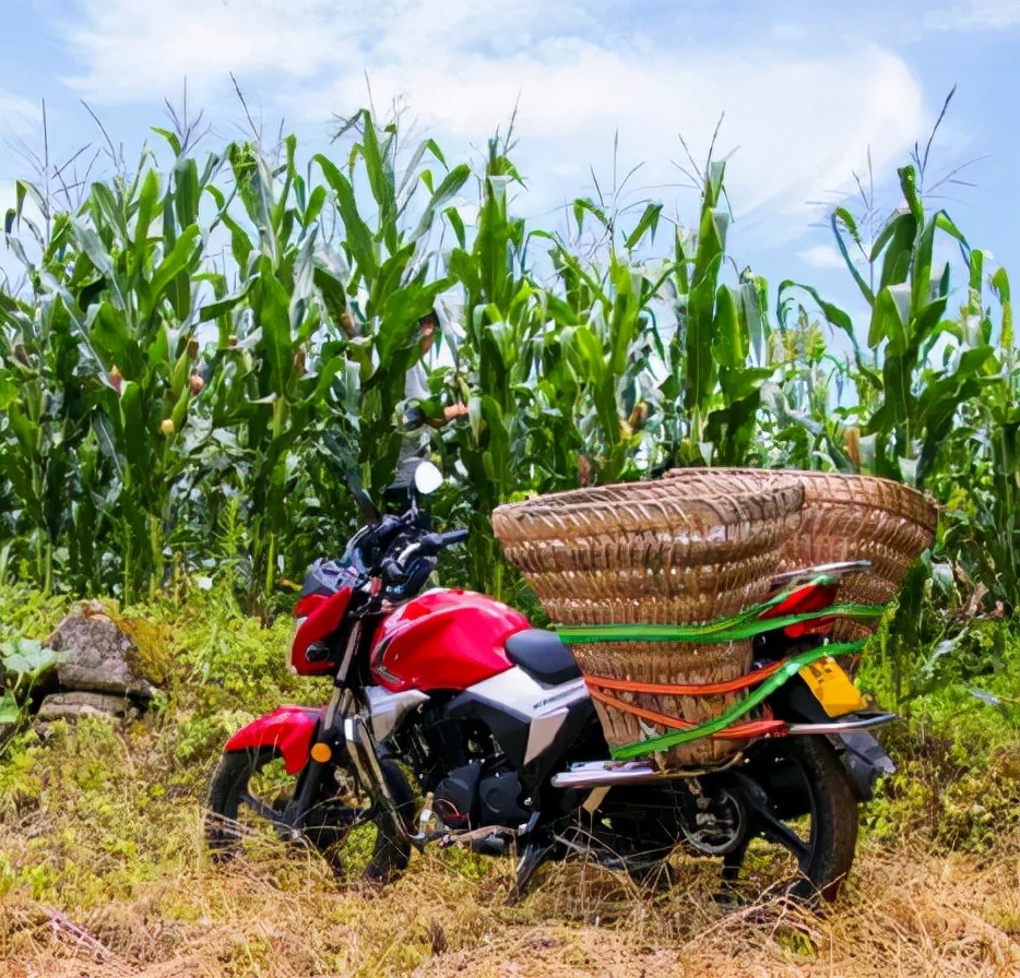 五羊本田雄帅cbs150最新款,2022款雄帅cb150s