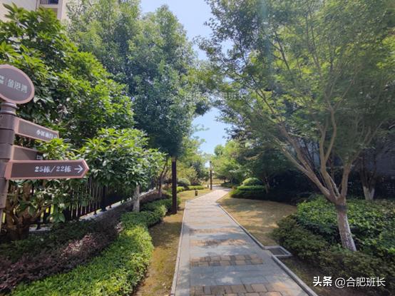 合肥蜀西湖祥源金港湾,高新区单价11500现房