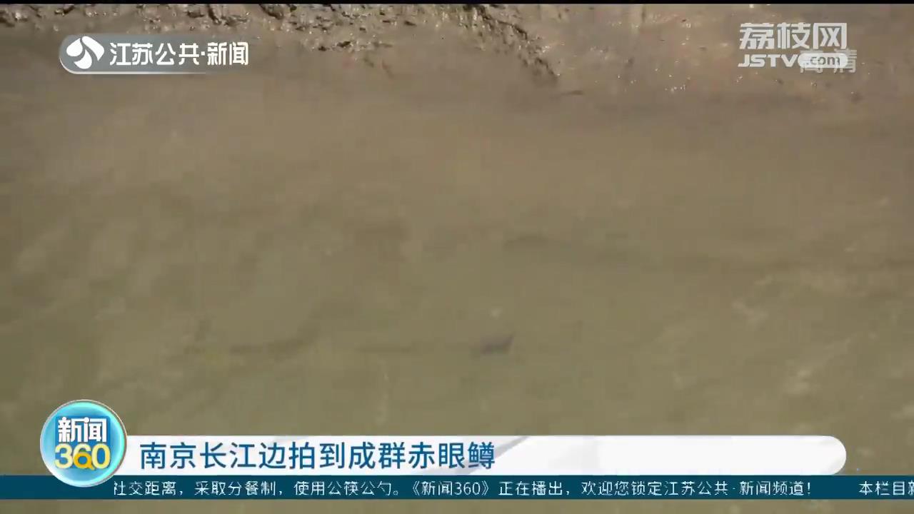 长江生态保护和绿色发展视频,生态环境高质量发展长江