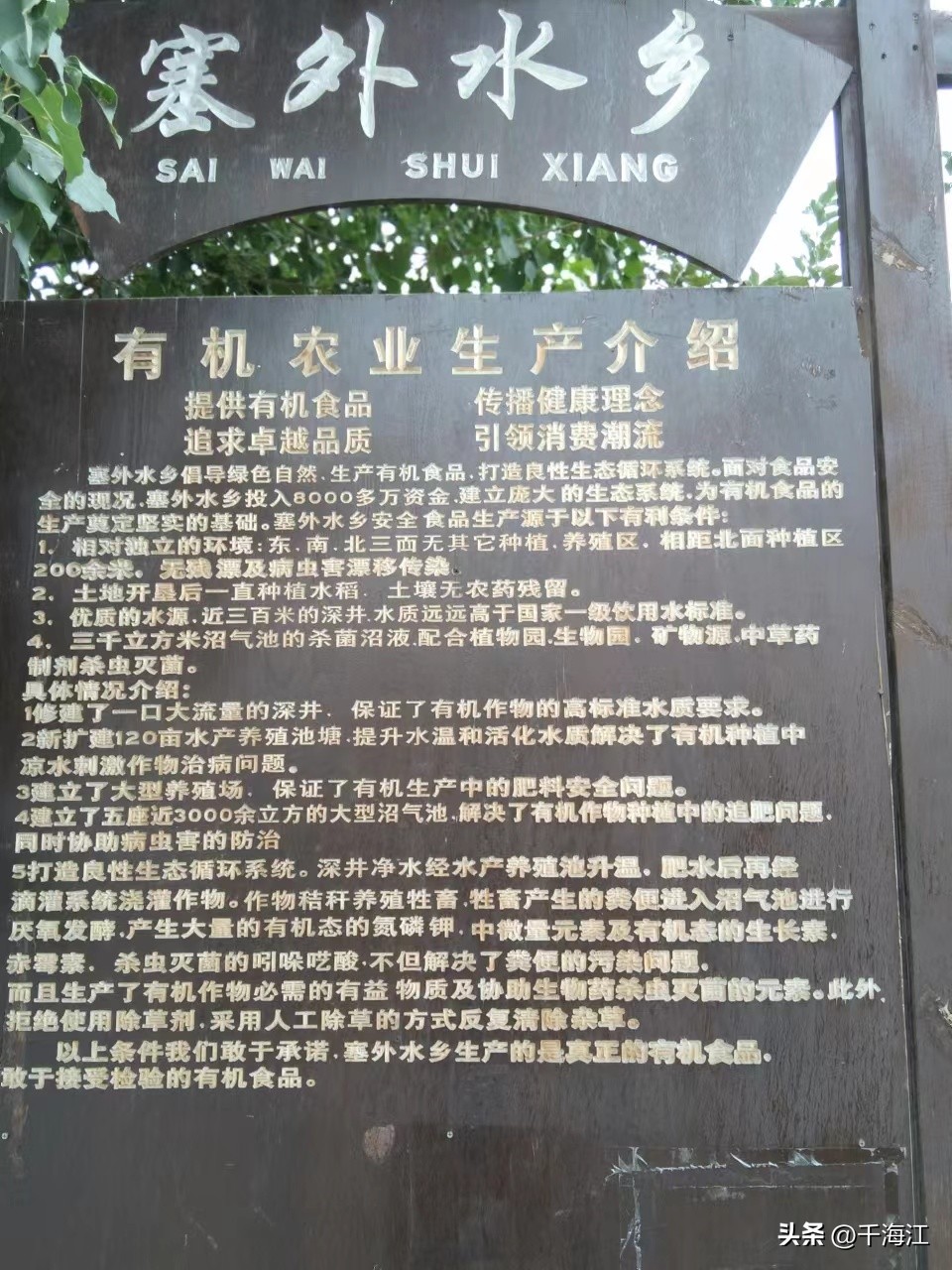 塞外水乡度假村怎么样,乌鲁木齐新市区塞外水乡门票价格