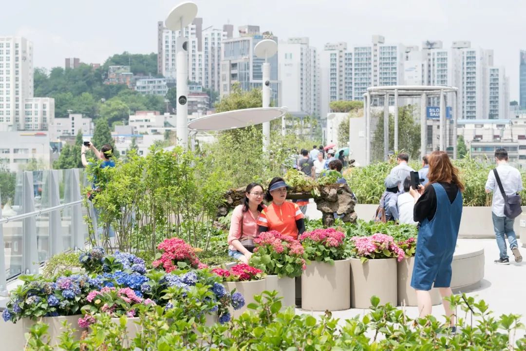 评价高颜值的神评论,高颜值高评价