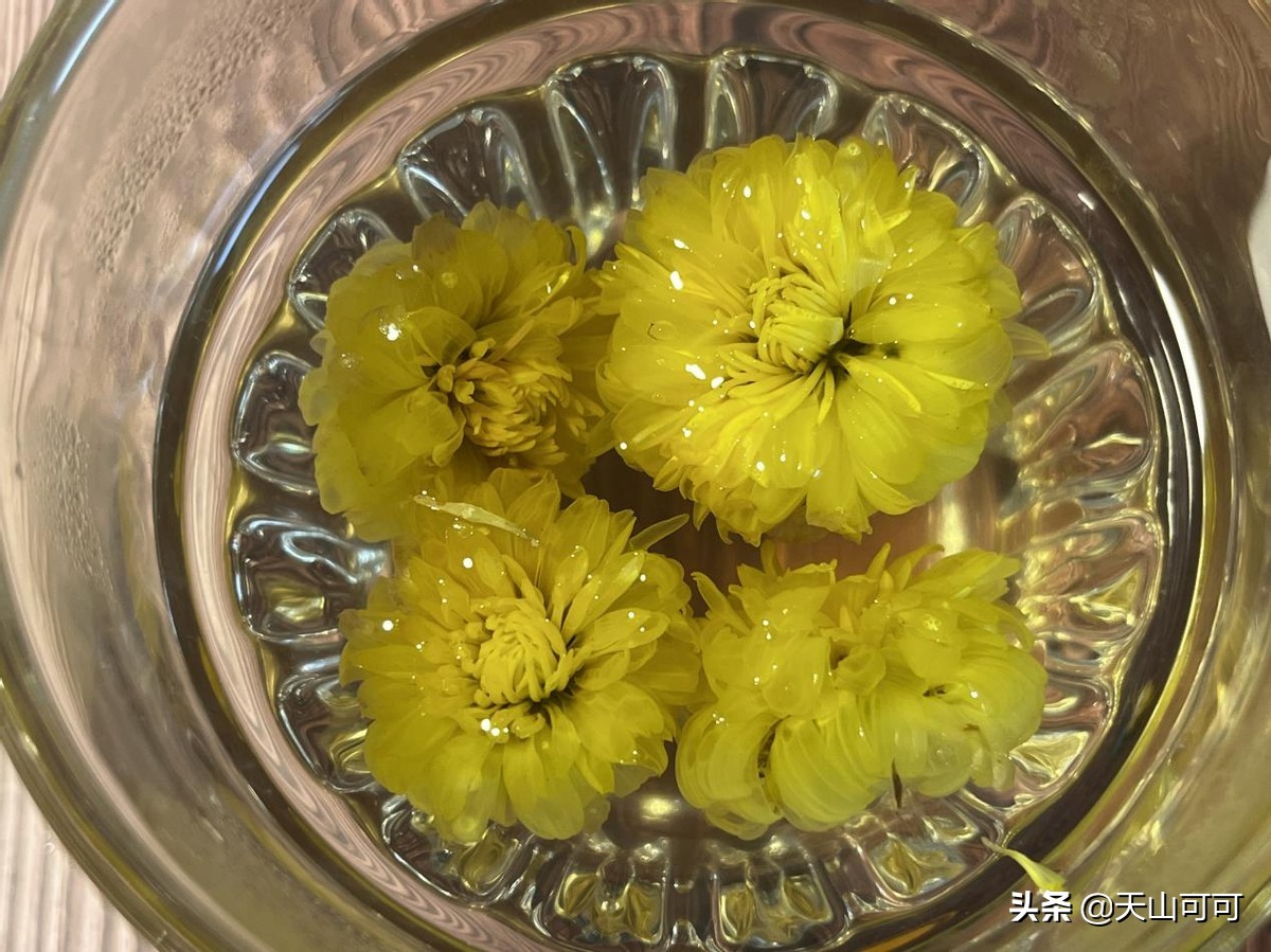菊花茶怎么判断菊花的好坏,菊花茶白色和黄色菊花哪个好