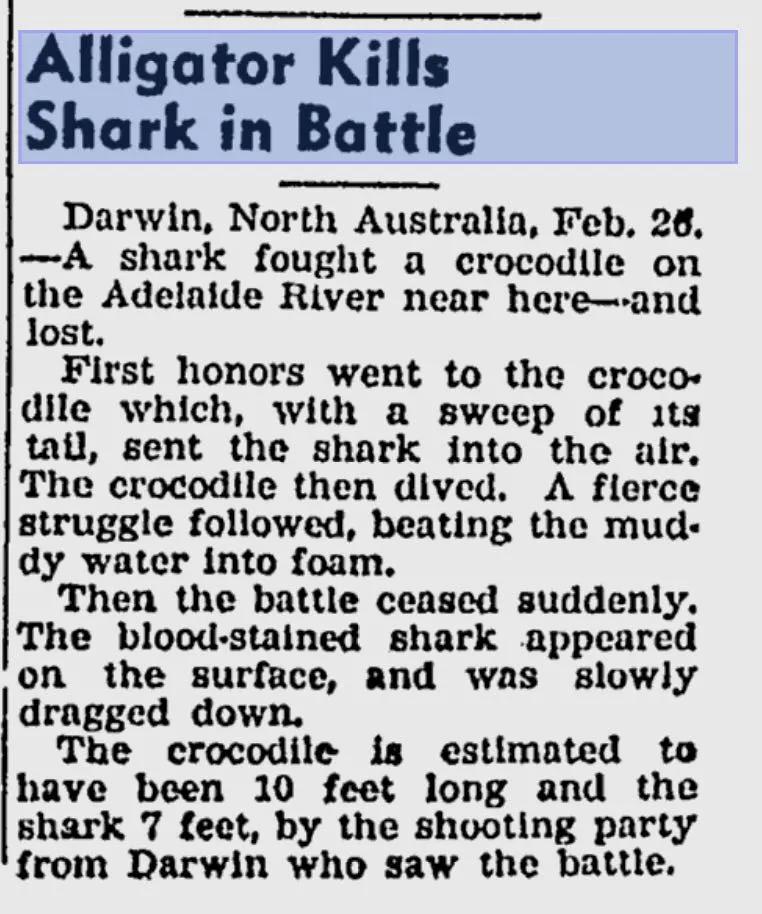 鳄鱼鲨鱼鲸鱼谁最厉害,鲨鱼和鳄鱼大战谁最厉害