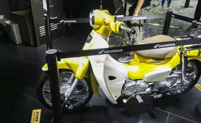 丰田幼兽,丰田幼兽价位