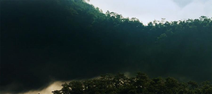 中国「最美樱花社区」┃国宝级大师小林政彦x小坂龙xG.A.D设计