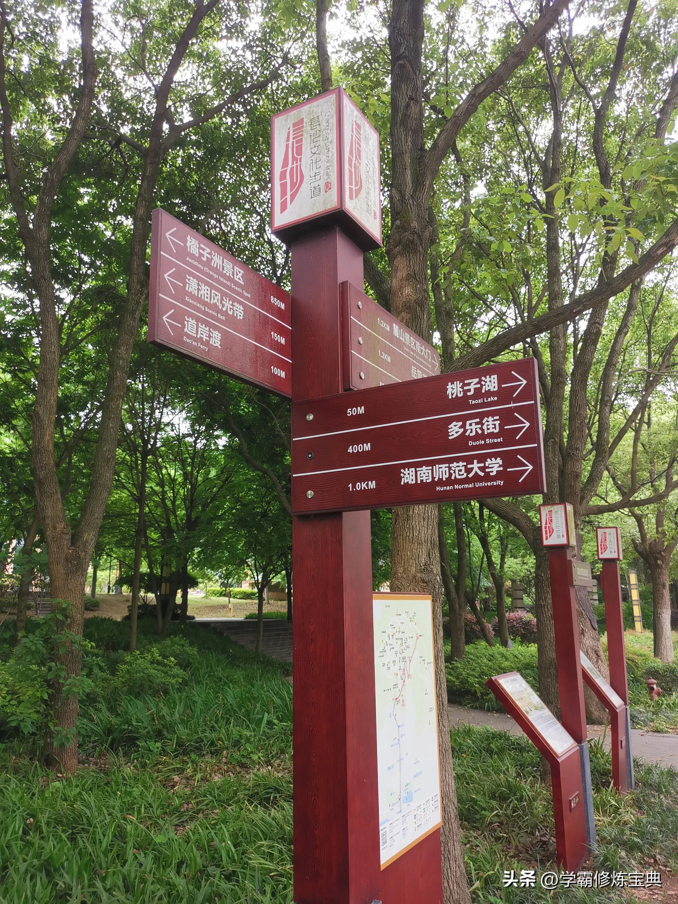 学习创业做什么比较好,想要创业成功必须学习哪些