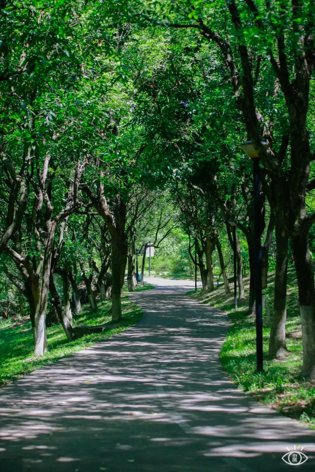 深圳10条入门登山线路推荐,深圳十大山峰最新登山攻略