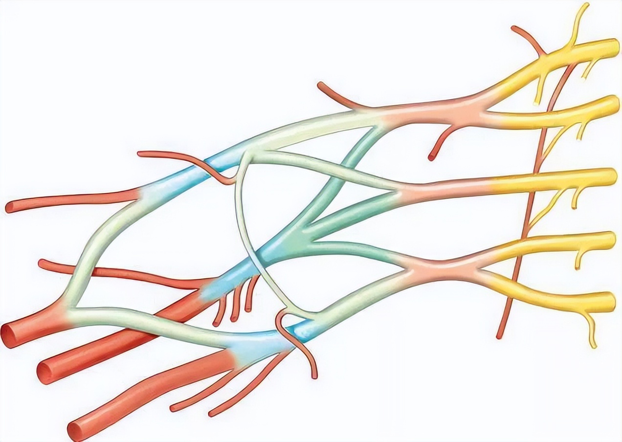 医生科普食管腺癌的发病原因,腺癌是什么原因引起的