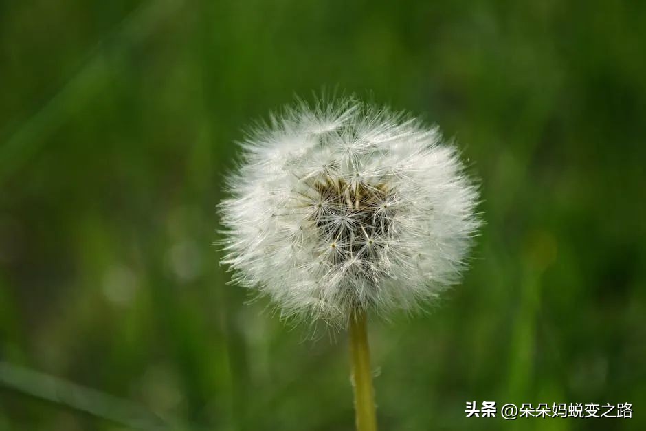 不确定性成功,不确定性风险