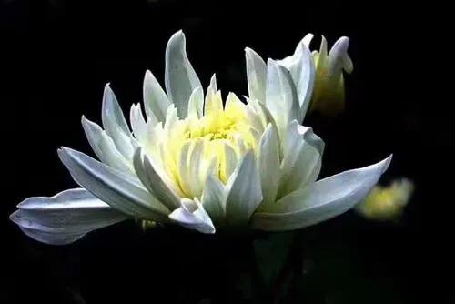 雪的记忆图片,一场雪的记忆