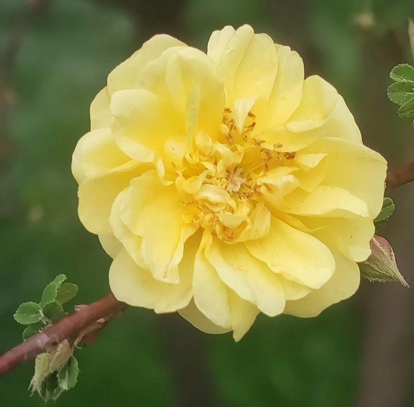 每日一句经典句子简短励志语录,励志语录短句不超过10个字