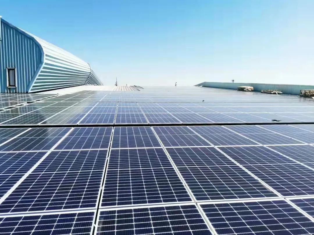 「走进绿色钢城」新天钢：以昂扬姿态向社会展示“工业之伟力，生态之和谐”