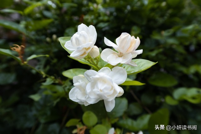 一年四季景色的古诗词,关于风雨雪雨的古诗